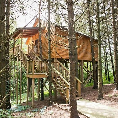 Whispering Pines Treehouse By Amish Country Lodging Милърсбърг Екстериор снимка