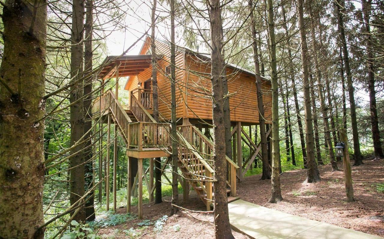 Whispering Pines Treehouse By Amish Country Lodging Милърсбърг Екстериор снимка