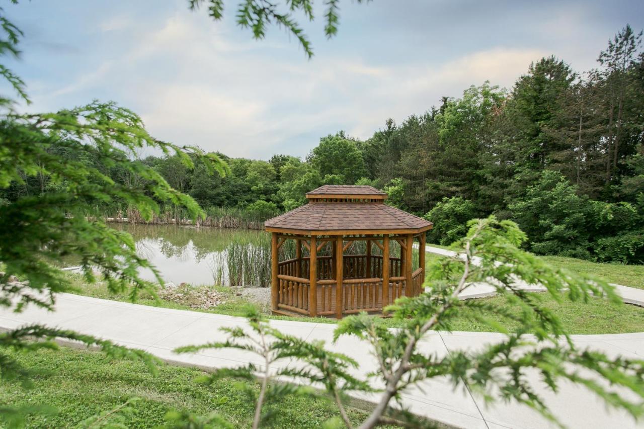 Whispering Pines Treehouse By Amish Country Lodging Милърсбърг Екстериор снимка